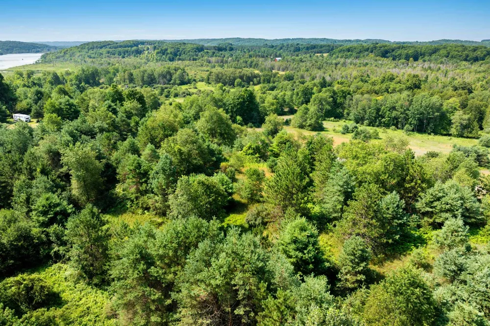 Rolling Ridge Lane Banks Township, MI 49729