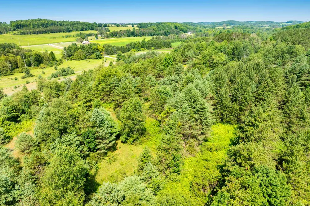 Rolling Ridge Lane Banks Township, MI 49729