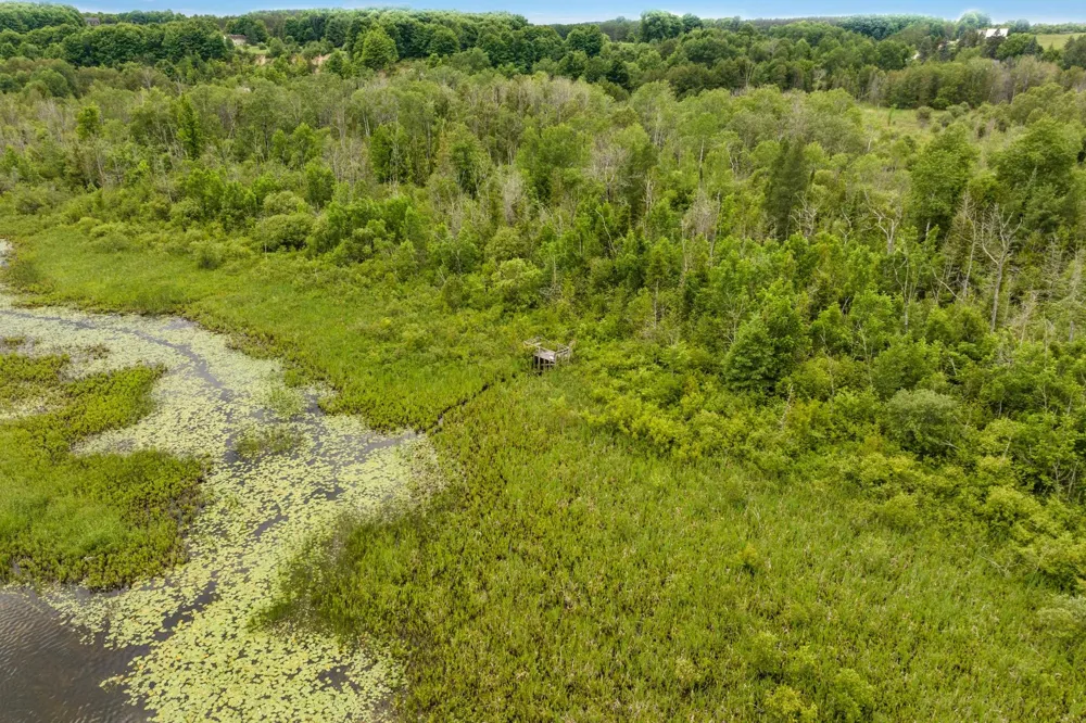 Rolling Ridge Lane Banks Township, MI 49729
