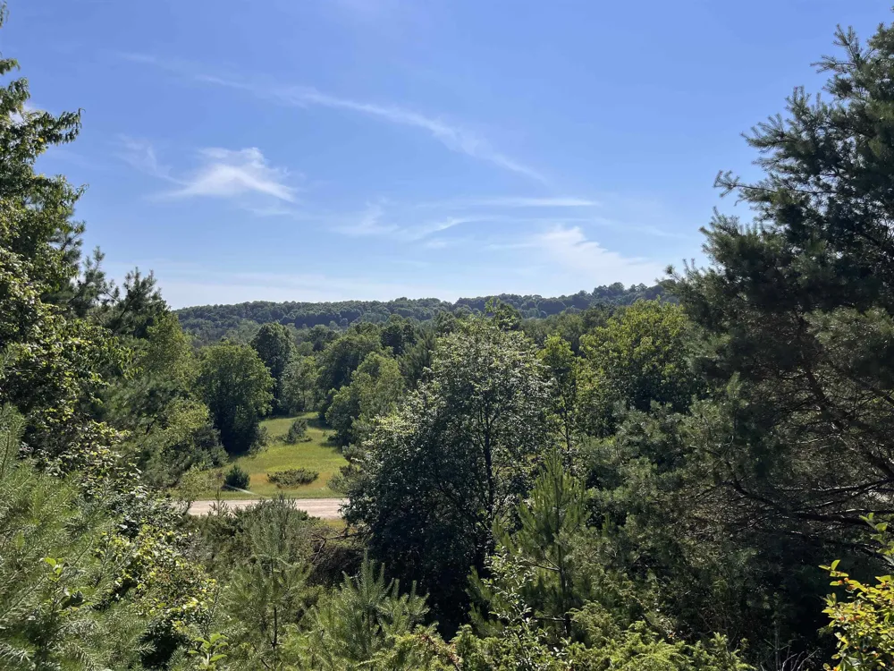 Rolling Ridge Lane Banks Township, MI 49729