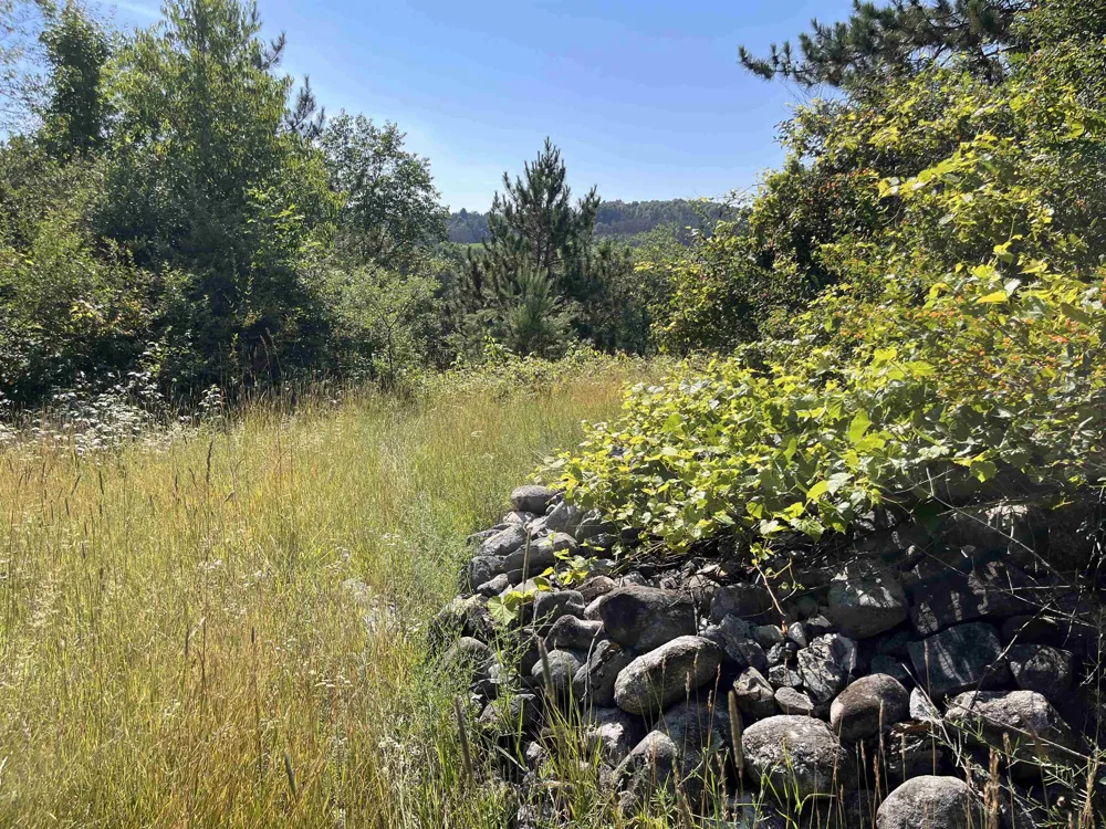 Rolling Ridge Lane Banks Township, MI 49729