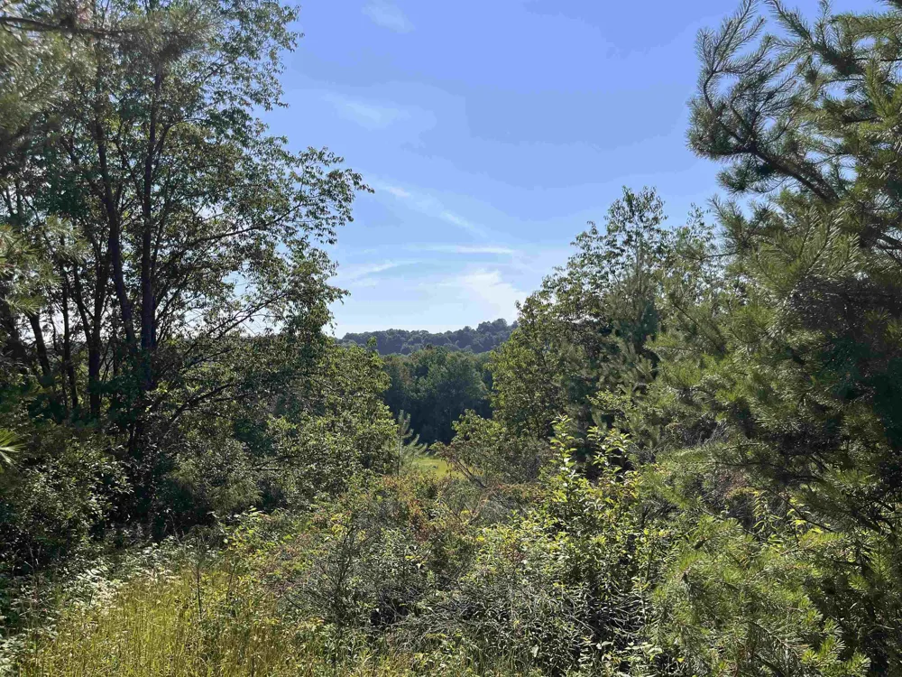 Rolling Ridge Lane Banks Township, MI 49729