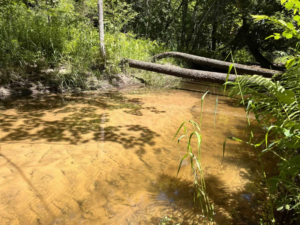 Rolling Ridge Lane Banks Township, MI 49729