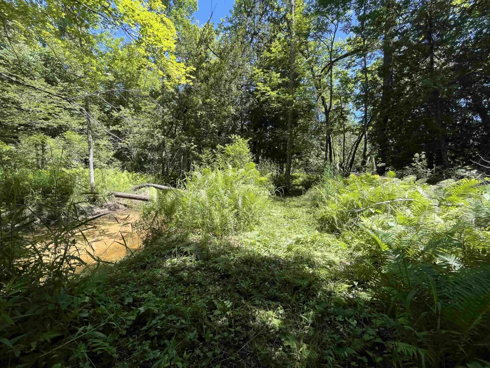 Rolling Ridge Lane Banks Township, MI 49729