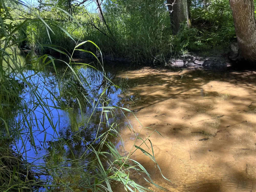 Rolling Ridge Lane Banks Township, MI 49729