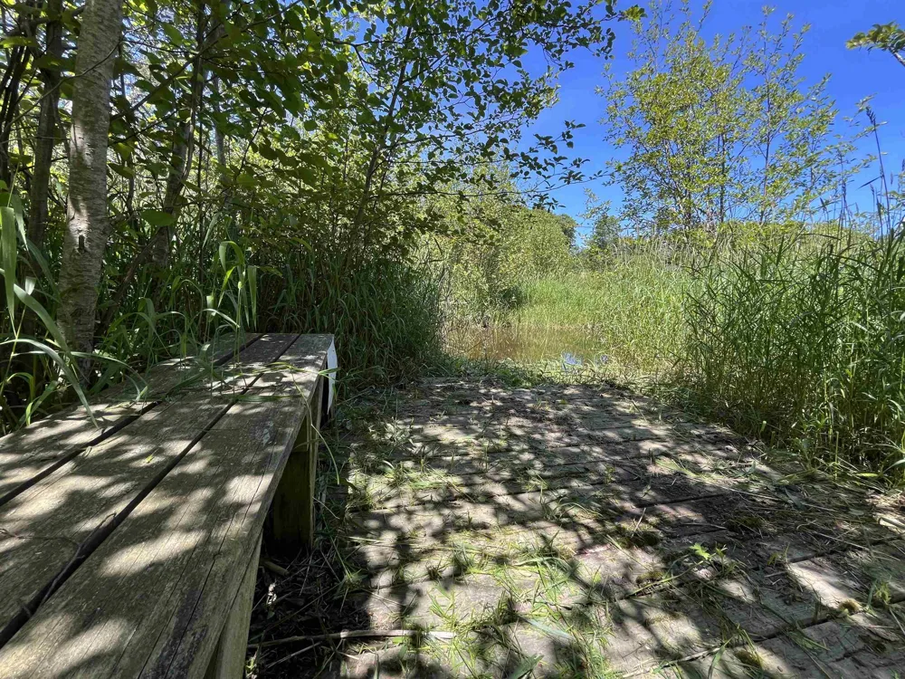 Rolling Ridge Lane Banks Township, MI 49729