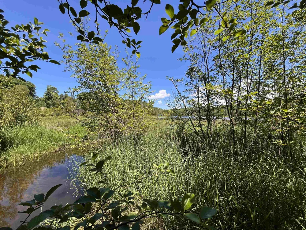 Rolling Ridge Lane Banks Township, MI 49729