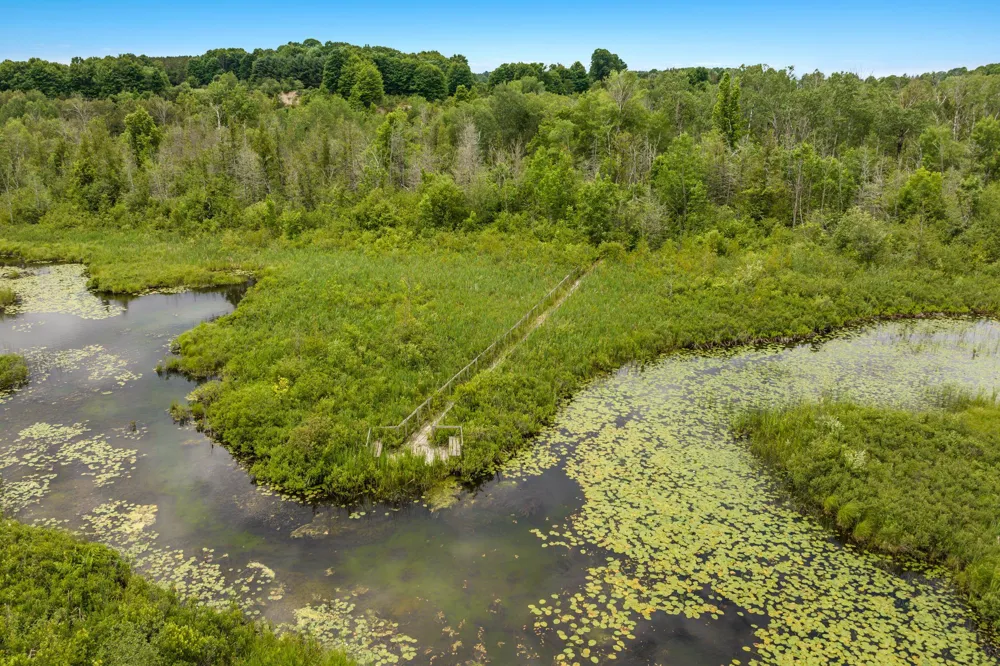 Rolling Ridge Lane Banks Township, MI 49729