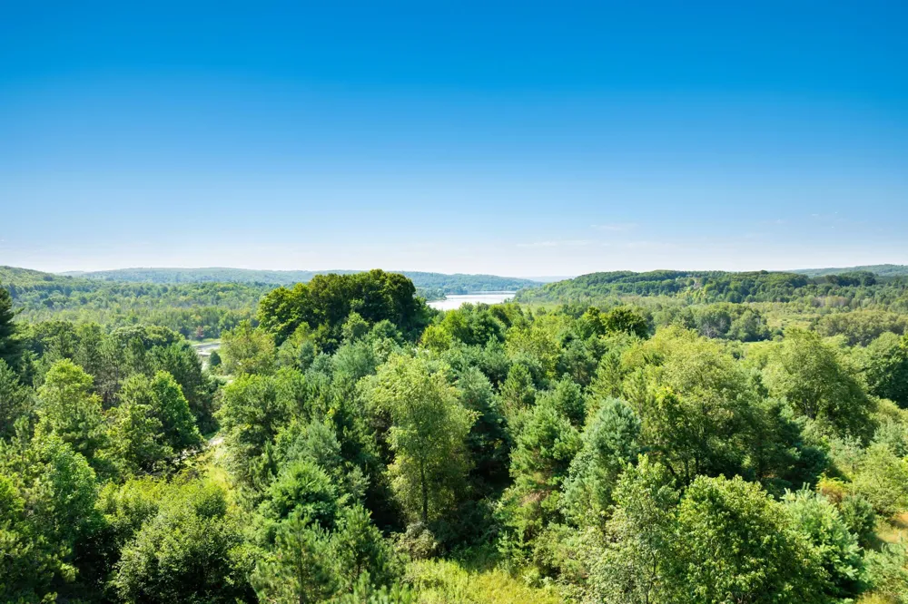 Rolling Ridge Lane Banks Township, MI 49729