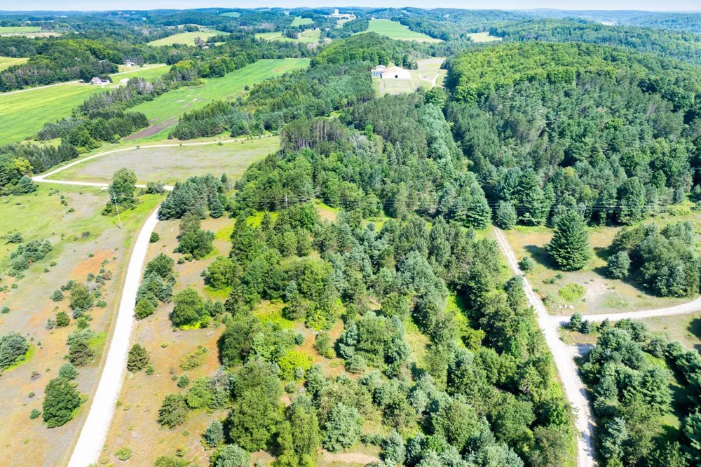 Rolling Ridge Lane Banks Township, MI 49729