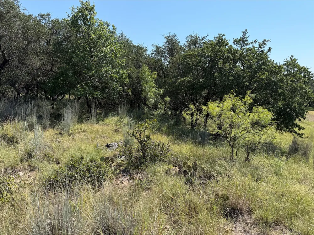 Lake Point Drive May, TX 76857