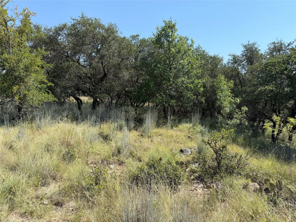 Lake Point Drive May, TX 76857