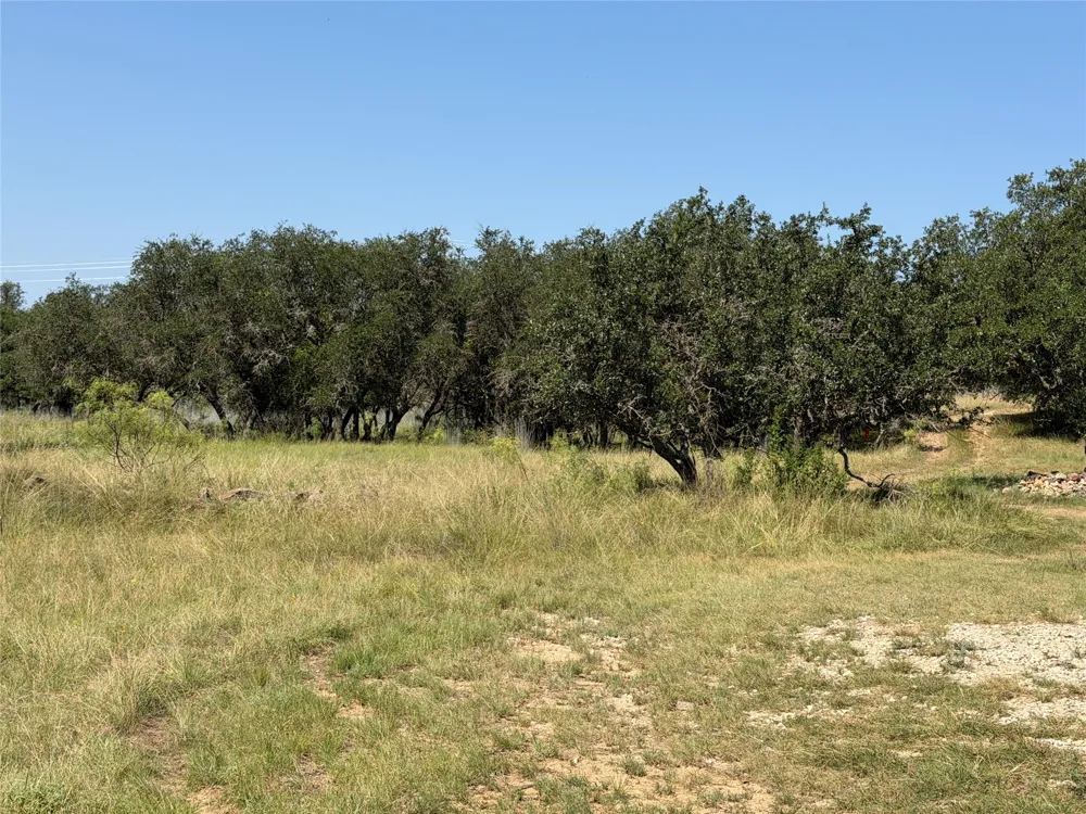 Lake Point Drive May, TX 76857