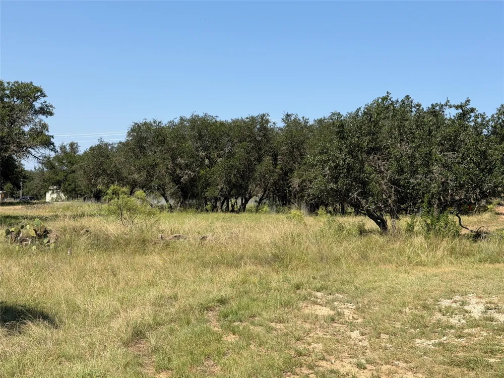 Lake Point Drive May, TX 76857