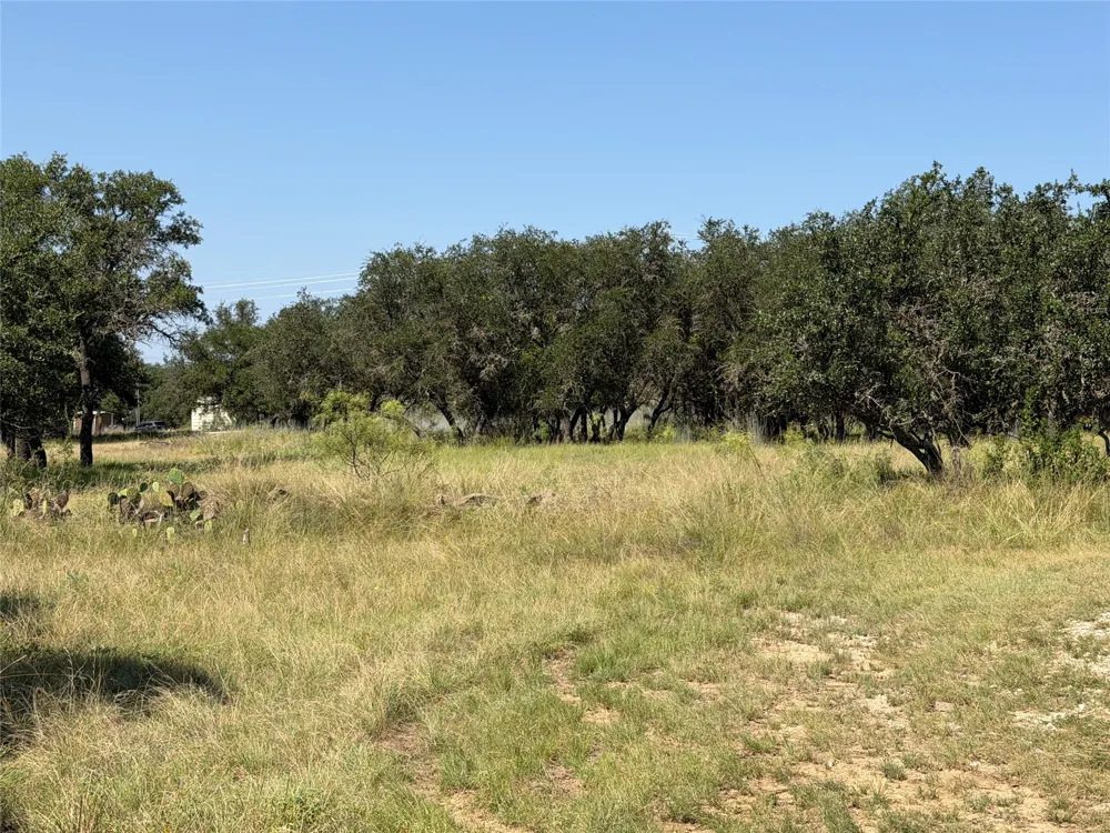 Lake Point Drive May, TX 76857