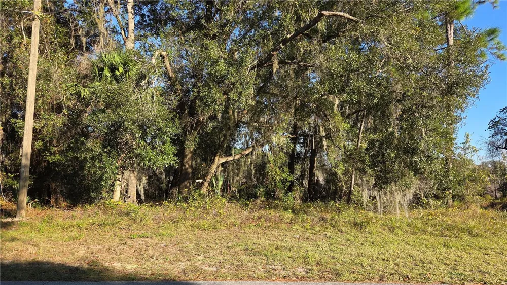 3009 PARMA DRIVE Deltona, FL 32738