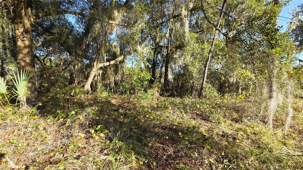 3009 PARMA DRIVE Deltona, FL 32738
