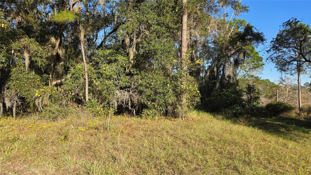 3009 PARMA DRIVE Deltona, FL 32738