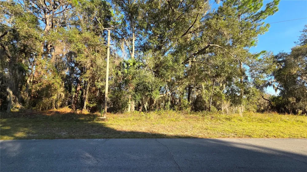 3009 PARMA DRIVE Deltona, FL 32738