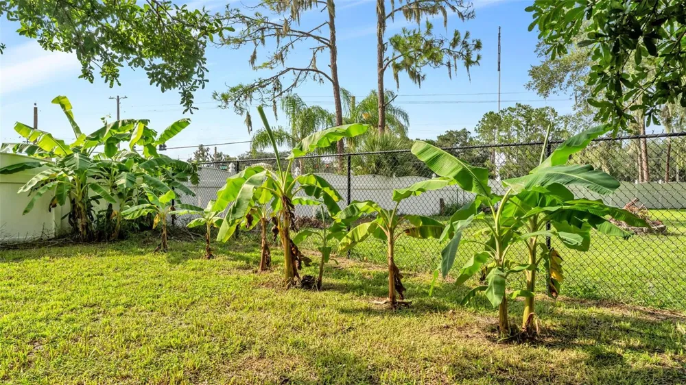 2723 SUNDANCE CIRCLE Mulberry, FL 33860