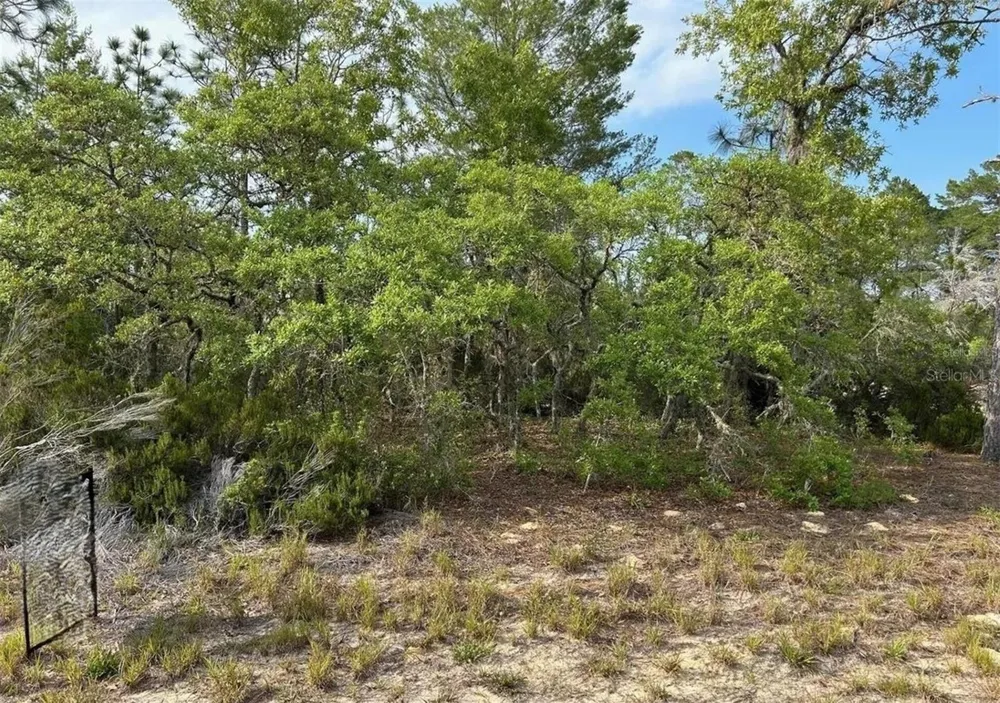 2923 W PINTADO DRIVE Citrus Springs, FL 34433