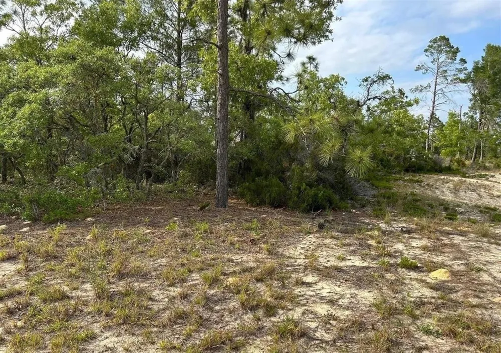 2923 W PINTADO DRIVE Citrus Springs, FL 34433