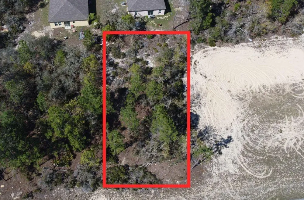 2923 W PINTADO DRIVE Citrus Springs, FL 34433