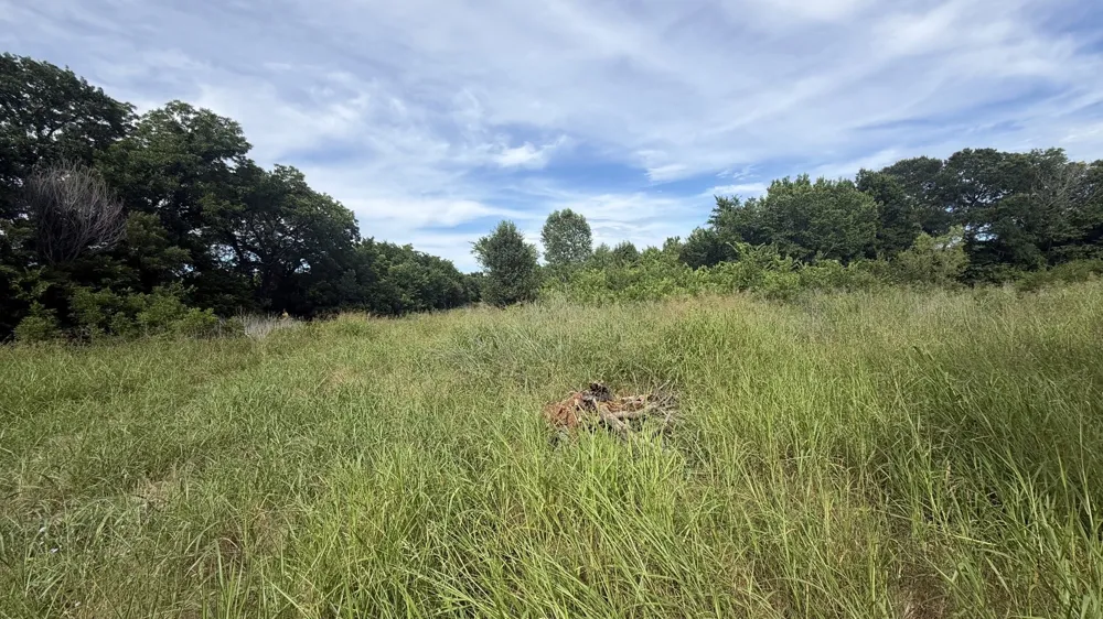 County Road 722 McKinney, TX 75069