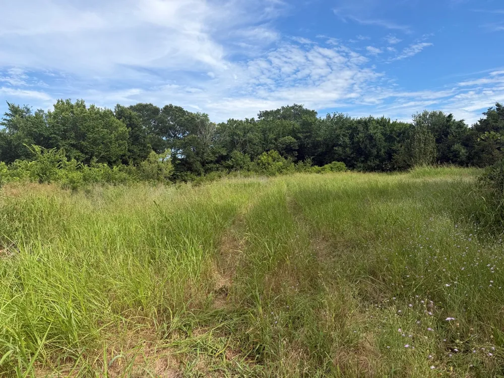 County Road 722 McKinney, TX 75069