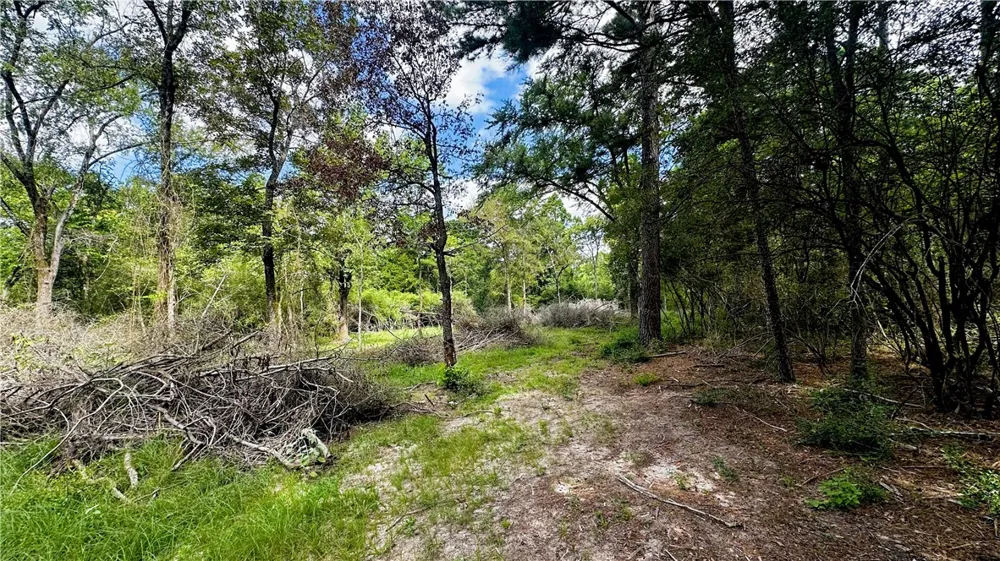 7103 FM 3178 Centerville, TX 75833