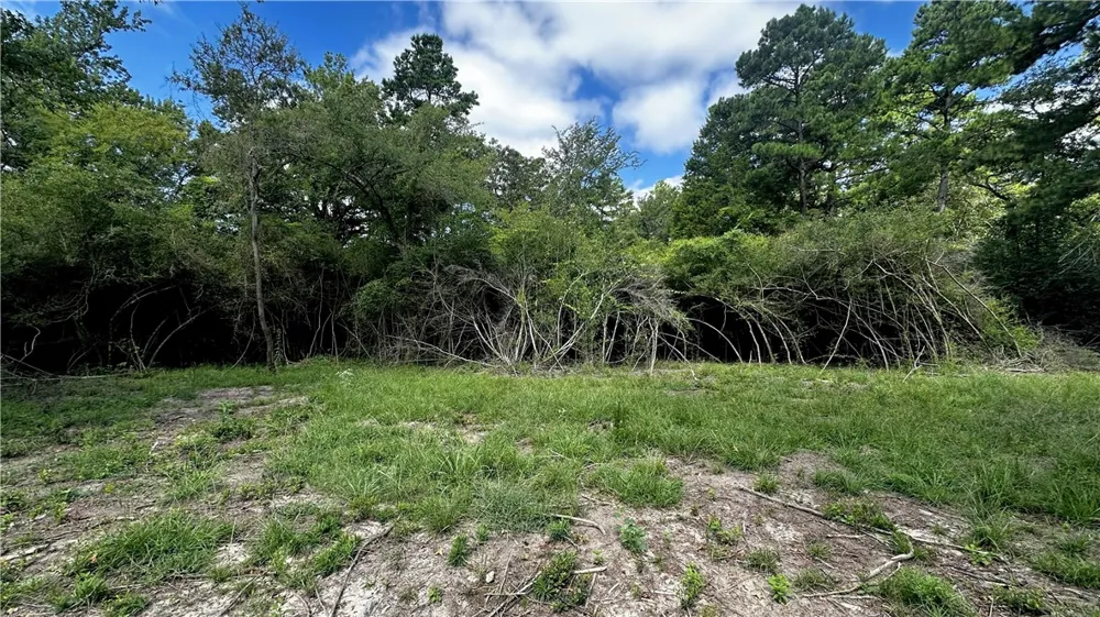 7103 FM 3178 Centerville, TX 75833