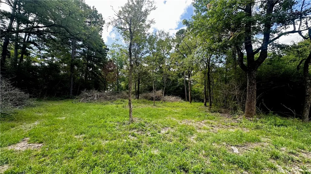 7103 FM 3178 Centerville, TX 75833