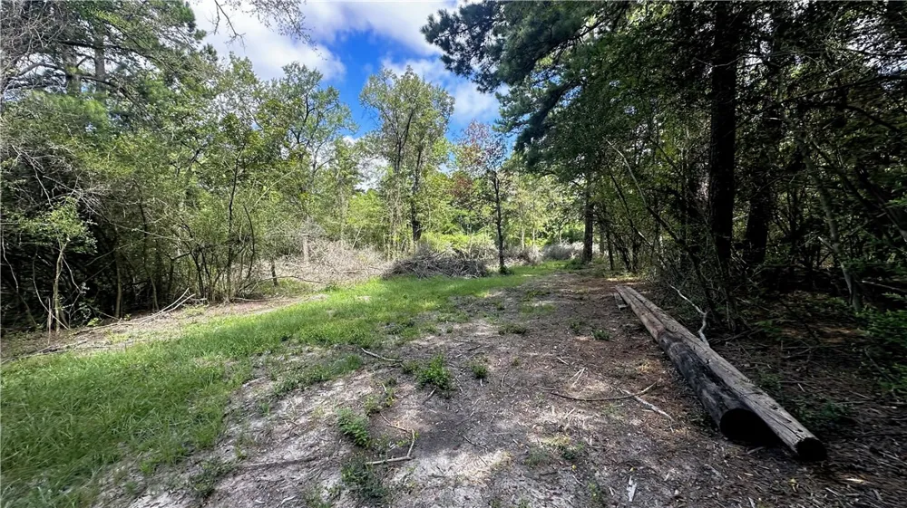 7103 FM 3178 Centerville, TX 75833