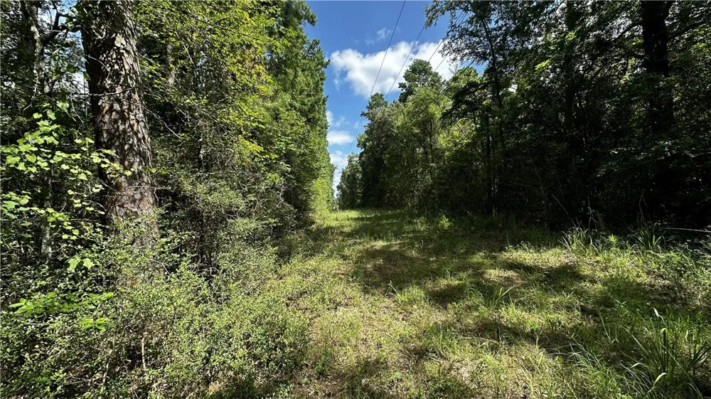 7103 FM 3178 Centerville, TX 75833