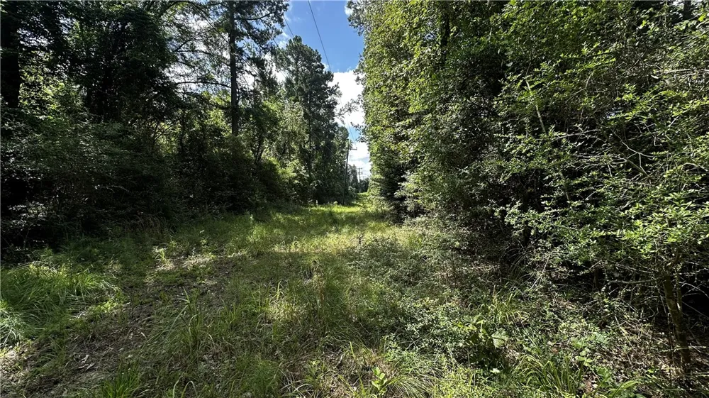 7103 FM 3178 Centerville, TX 75833