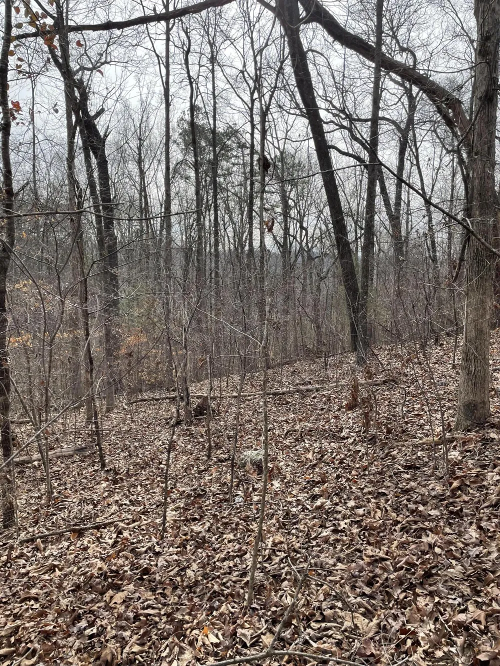 Swanson Road Ringgold, GA 30736