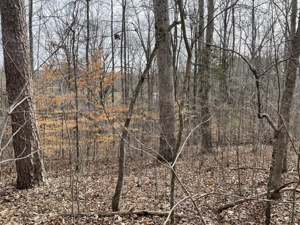 Swanson Road Ringgold, GA 30736