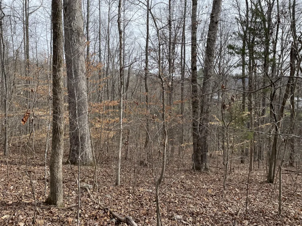 Swanson Road Ringgold, GA 30736