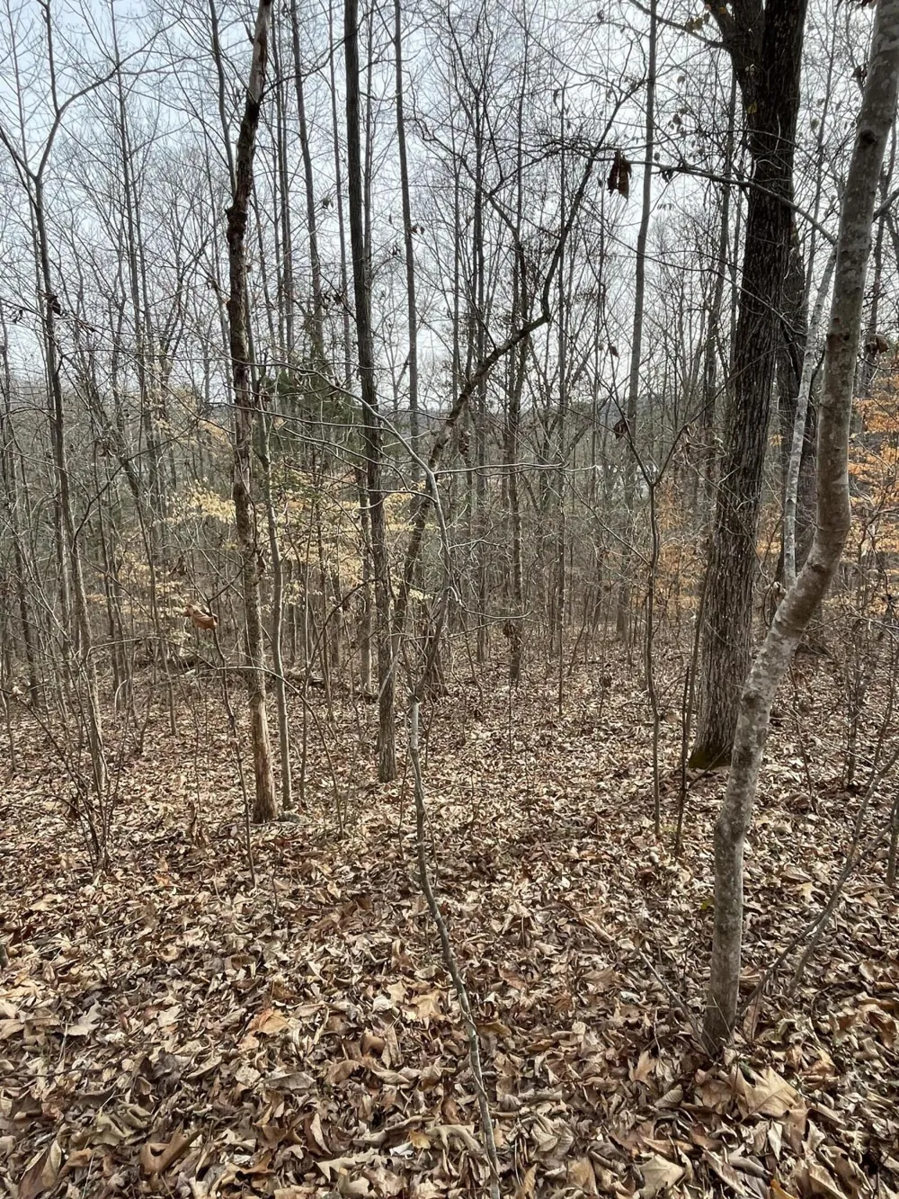 Swanson Road Ringgold, GA 30736