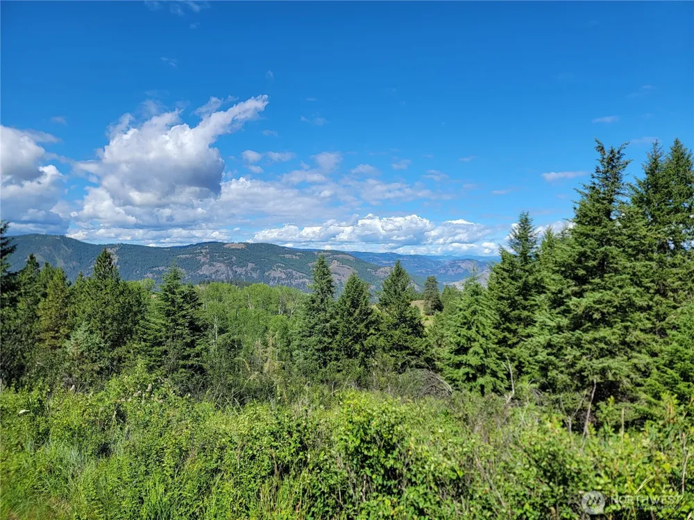 29 Yellow Brick Road Republic, WA 99166