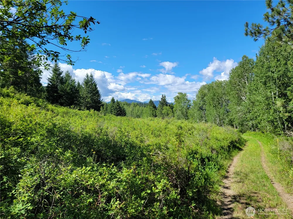 29 Yellow Brick Road Republic, WA 99166
