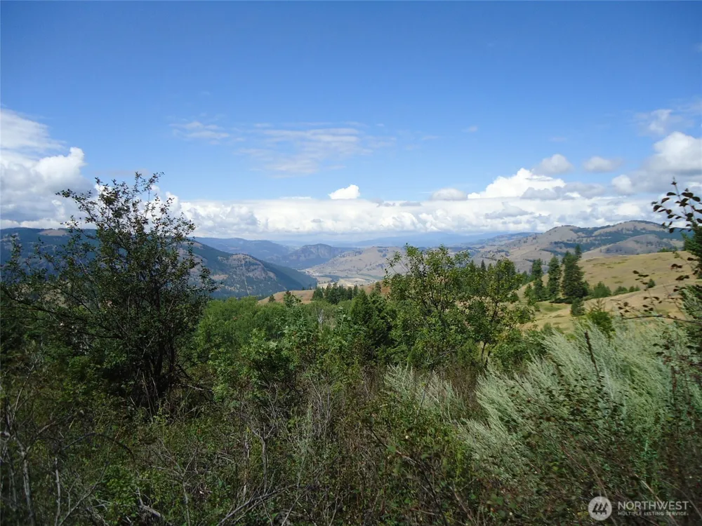 29 Yellow Brick Road Republic, WA 99166