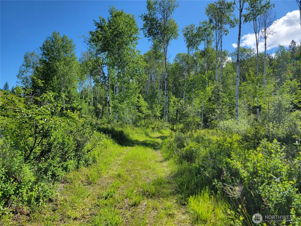 29 Yellow Brick Road Republic, WA 99166
