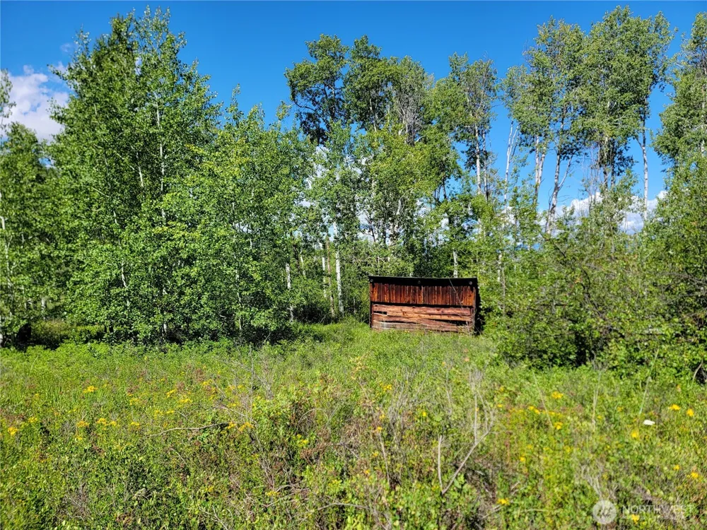 29 Yellow Brick Road Republic, WA 99166