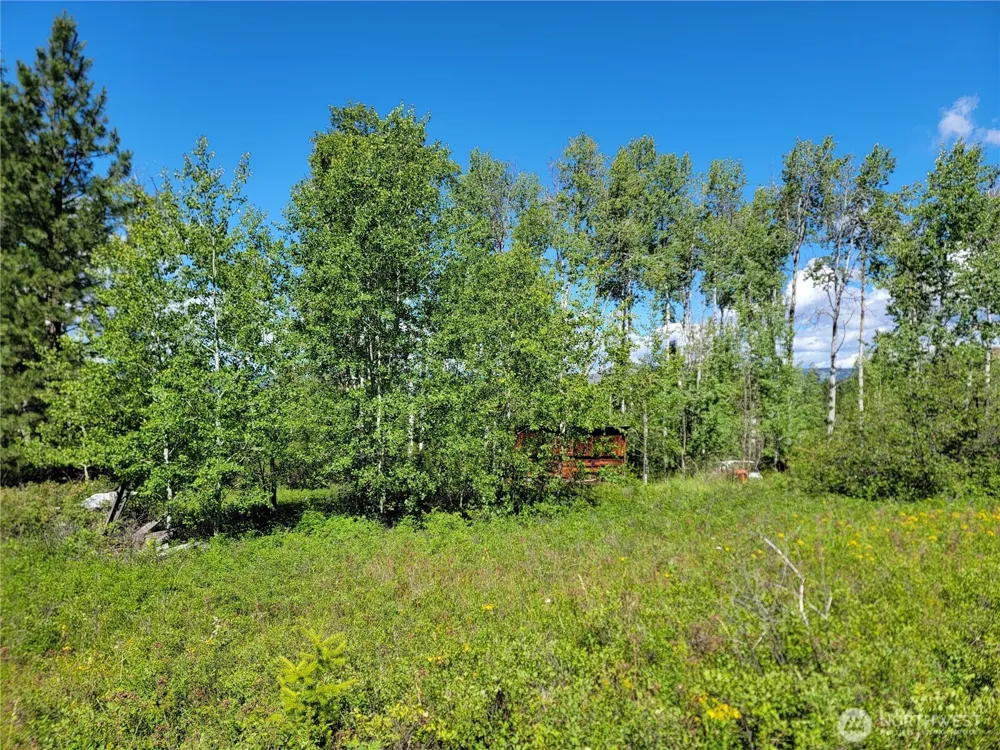 29 Yellow Brick Road Republic, WA 99166