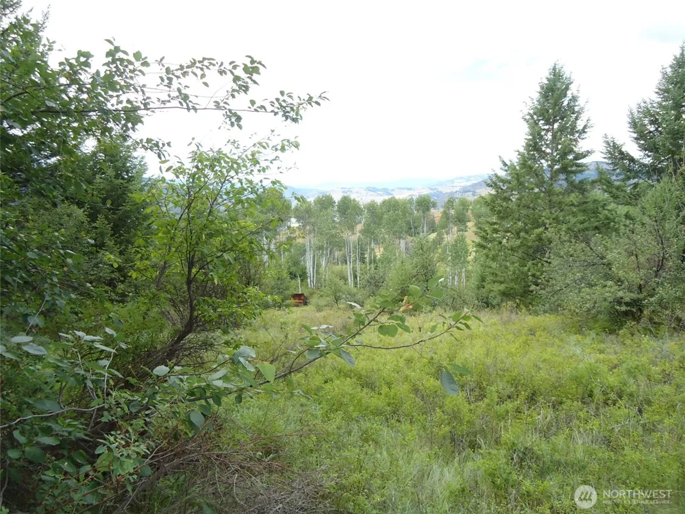29 Yellow Brick Road Republic, WA 99166