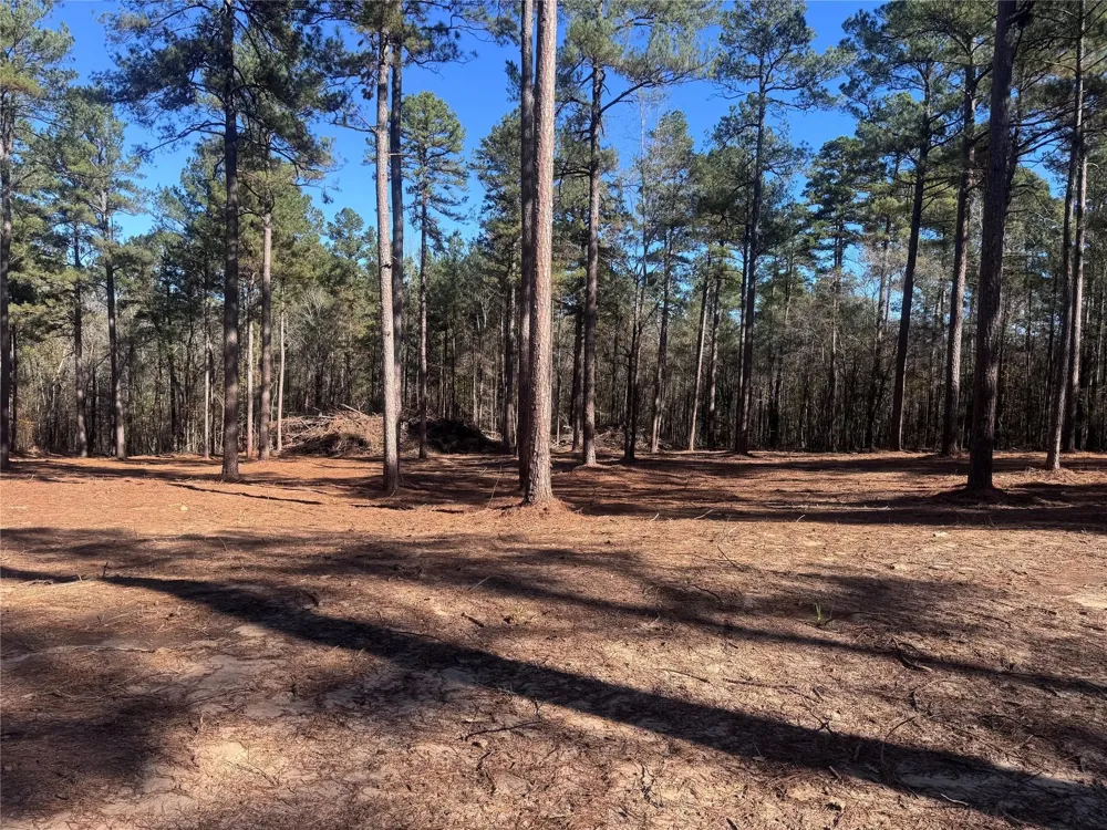 Cotton Lane Minden, LA 71055