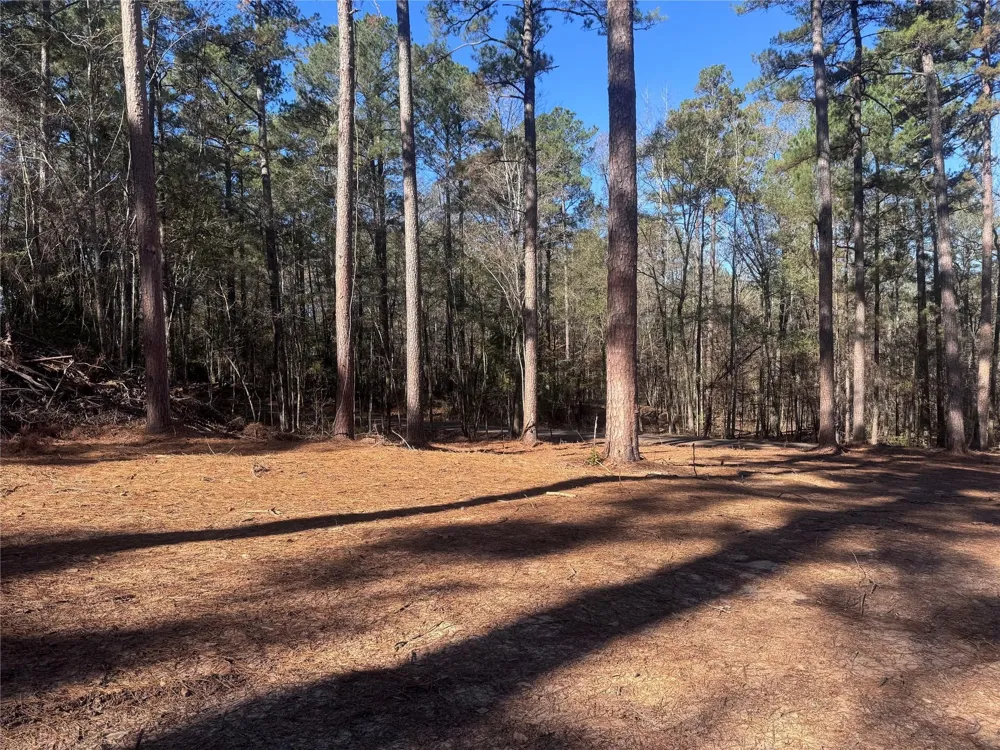Cotton Lane Minden, LA 71055