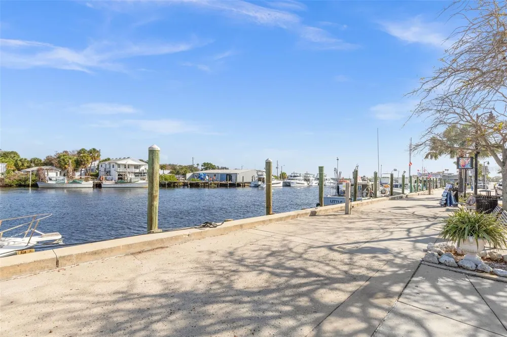 39650 US HIGHWAY 19 #651 Tarpon Springs, FL 34689