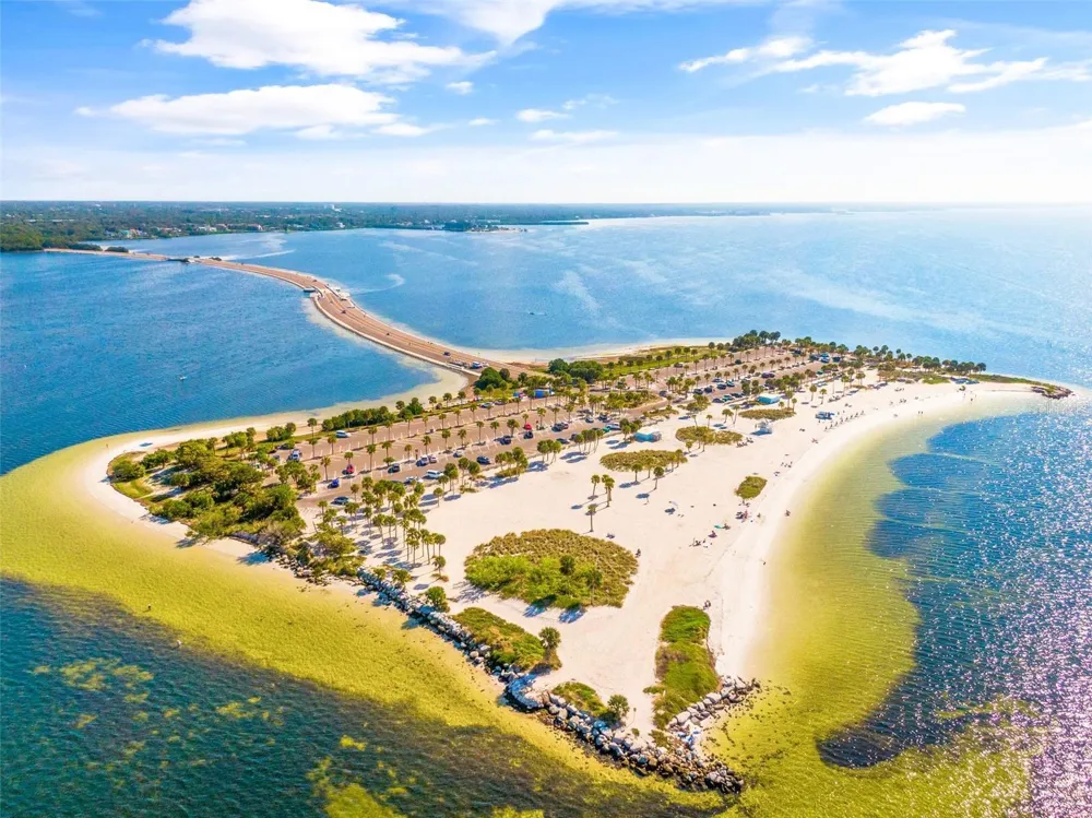 39650 US HIGHWAY 19 #651 Tarpon Springs, FL 34689